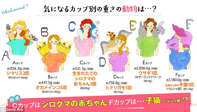 Perusahaan Pakaian Dalam Jepang Bandingkan Ukuran Bra dengan Bobot Hewan